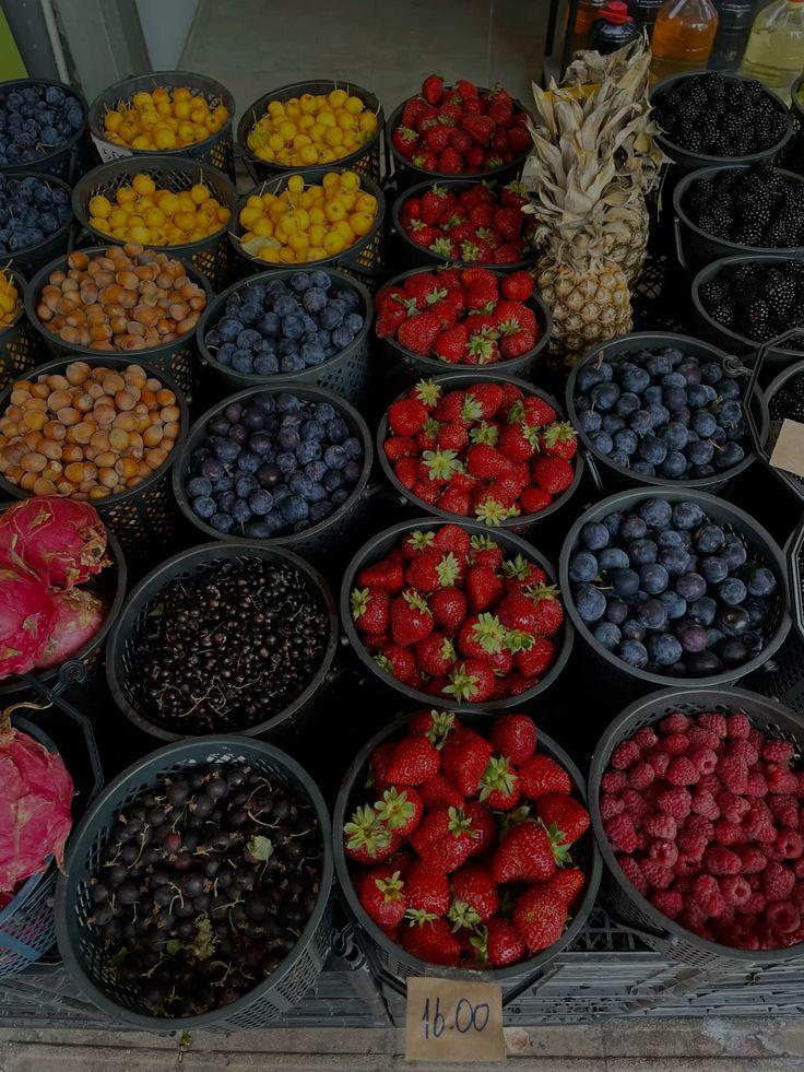Grove's Whisper: Nature's Handpicked Mosaic
