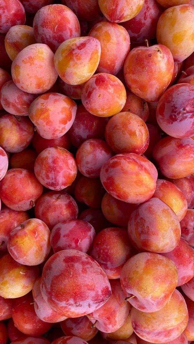 Meadow's Symphony: Freshness in Every Bite